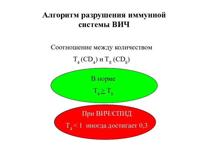 Алгоритм разрушения иммунной системы ВИЧ Соотношение между количеством Т4 (CD4) и