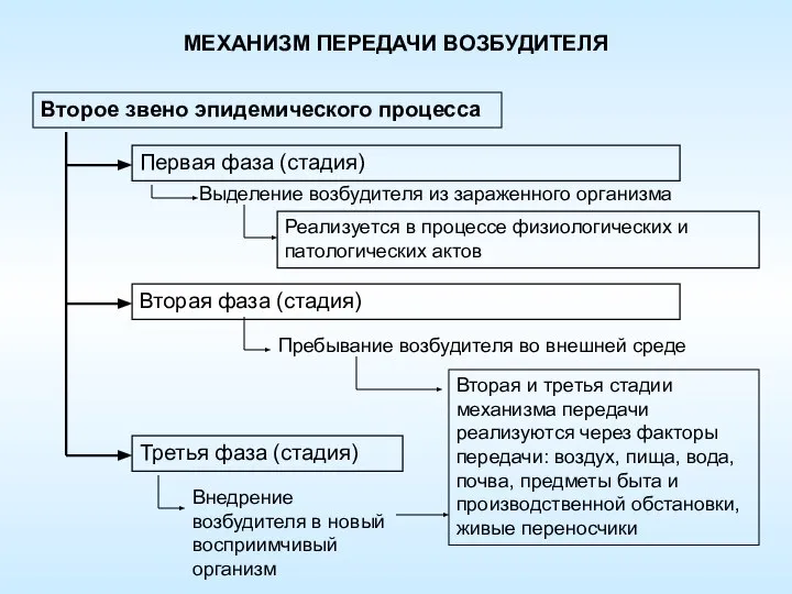 МЕХАНИЗМ ПЕРЕДАЧИ ВОЗБУДИТЕЛЯ Второе звено эпидемического процесса Первая фаза (стадия) Выделение