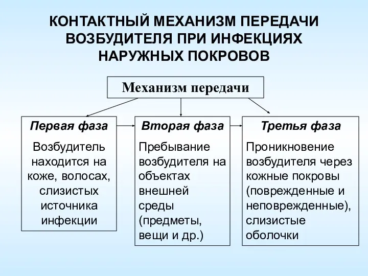 КОНТАКТНЫЙ МЕХАНИЗМ ПЕРЕДАЧИ ВОЗБУДИТЕЛЯ ПРИ ИНФЕКЦИЯХ НАРУЖНЫХ ПОКРОВОВ Первая фаза Возбудитель