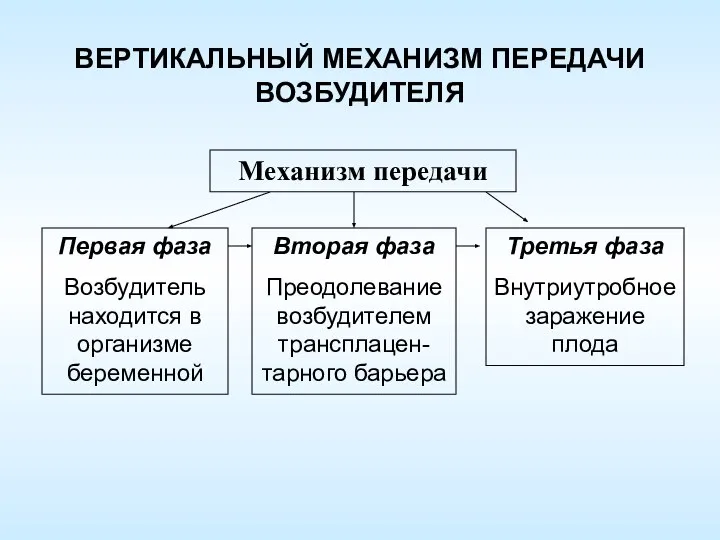 ВЕРТИКАЛЬНЫЙ МЕХАНИЗМ ПЕРЕДАЧИ ВОЗБУДИТЕЛЯ Первая фаза Возбудитель находится в организме беременной