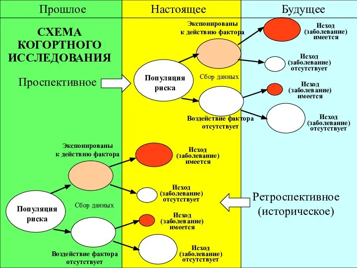 Прошлое Настоящее Будущее Популяция риска Экспонированы к действию фактора Воздействие фактора