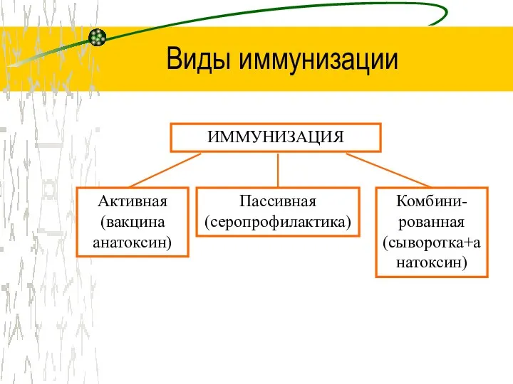 Виды иммунизации ИММУНИЗАЦИЯ Активная (вакцина анатоксин) Пассивная (серопрофилактика) Комбини-рованная (сыворотка+анатоксин)