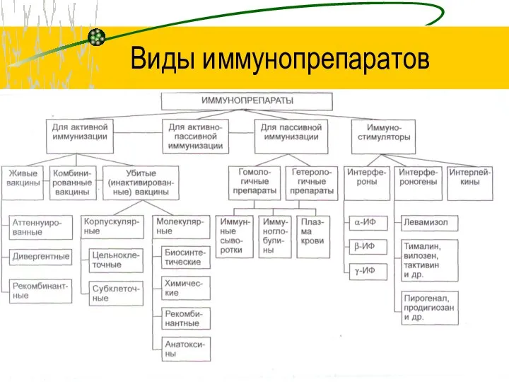 Виды иммунопрепаратов