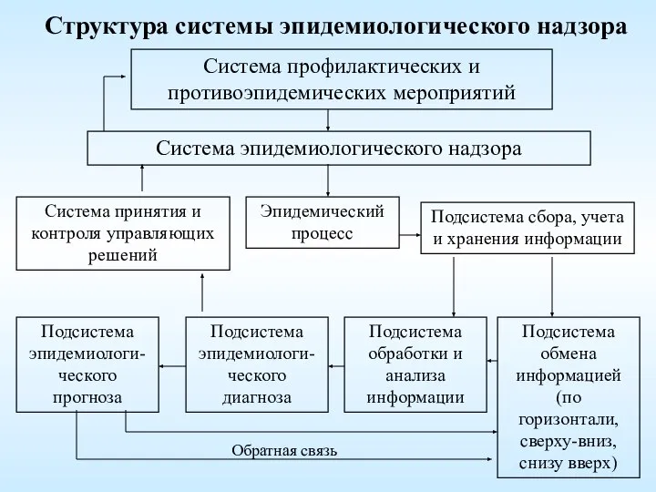 Структура системы эпидемиологического надзора Система профилактических и противоэпидемических мероприятий Система принятия