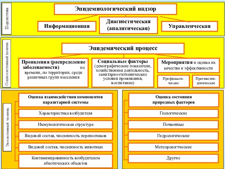 Эпидемиологический надзор Управленческая Проявления (распределение заболеваемости) по времени, по территории, среди