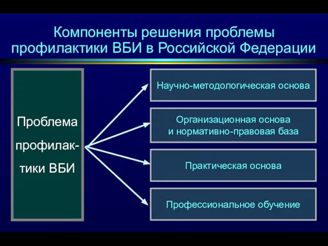 Компоненты решения проблемы профилактики ВБИ в Российской Федерации Проблема профилак- тики