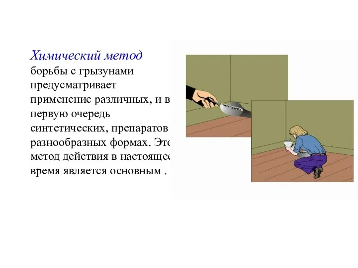 Химический метод борьбы с грызунами предусматривает применение различных, и в первую