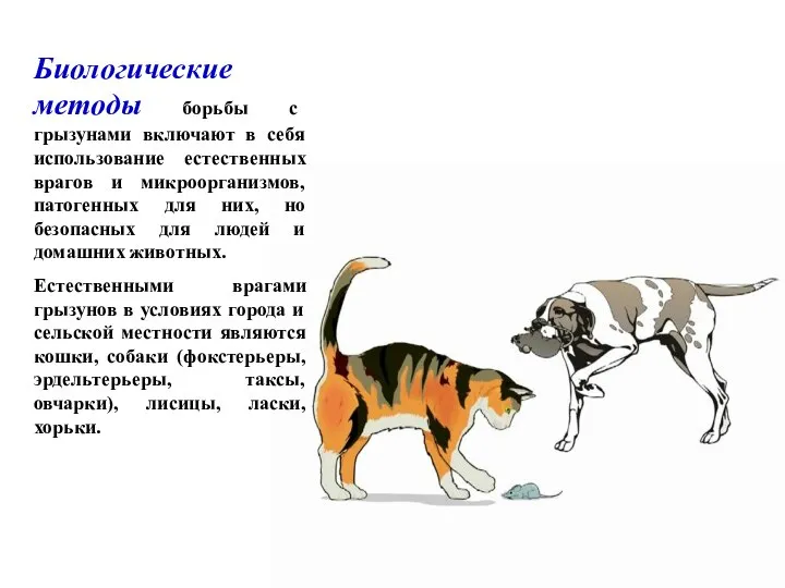 Биологические методы борьбы с грызунами включают в себя использование естественных врагов