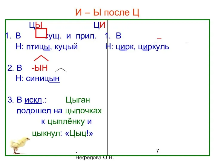 . Нефёдова О.Н. И – Ы после Ц ЦЫ ЦИ В