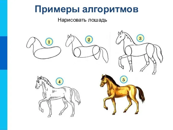 Примеры алгоритмов Нарисовать лошадь