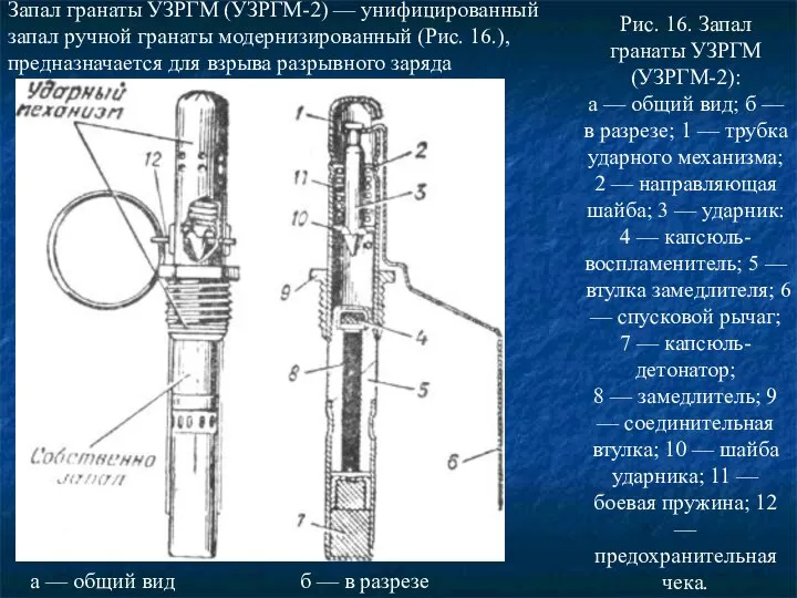 Рис. 16. Запал гранаты УЗРГМ (УЗРГМ-2): а — общий вид; б