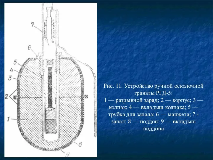 Рис. 11. Устройство ручной осколочной гранаты РГД-5: 1 — разрывной заряд;