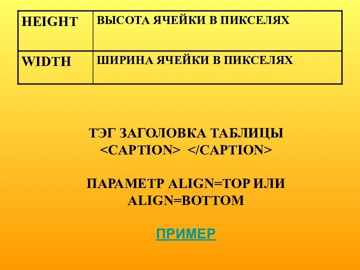 ТЭГ ЗАГОЛОВКА ТАБЛИЦЫ ПАРАМЕТР ALIGN=TOP ИЛИ ALIGN=BOTTOM ПРИМЕР