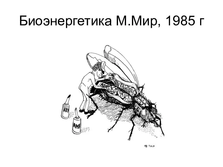 Биоэнергетика М.Мир, 1985 г