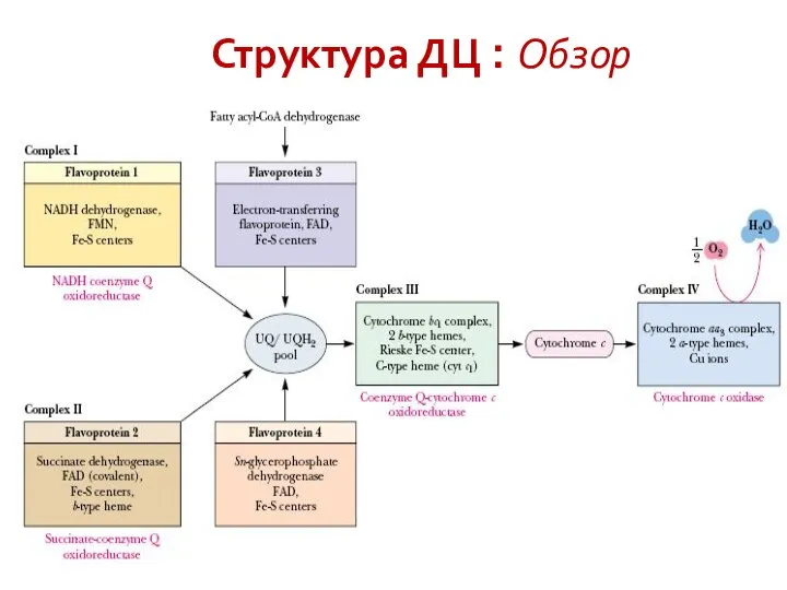 Структура ДЦ : Обзор