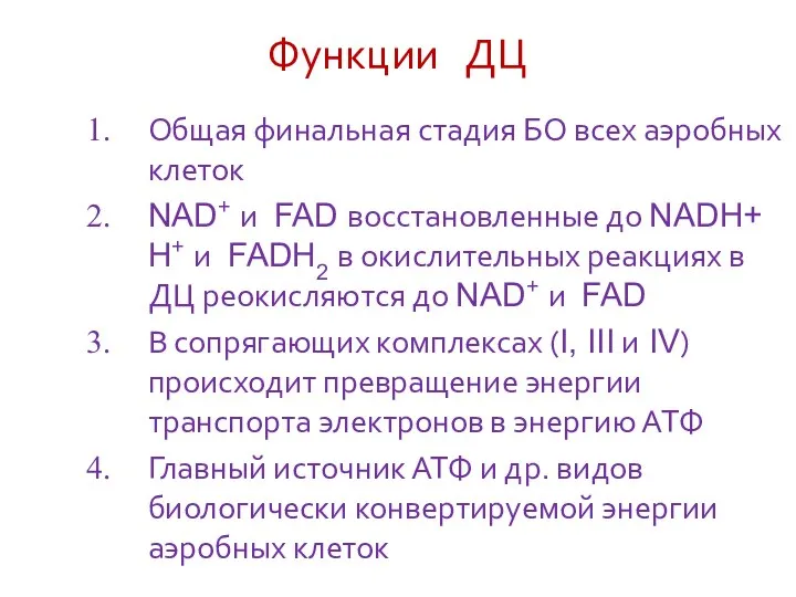 Функции ДЦ Общая финальная стадия БО всех аэробных клеток NAD+ и