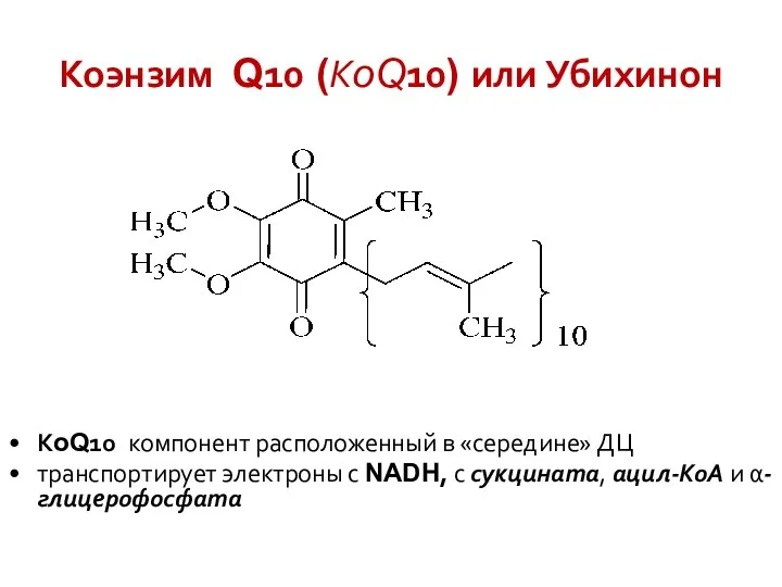 Коэнзим Q10 (КoQ10) или Убихинон КoQ10 компонент расположенный в «середине» ДЦ