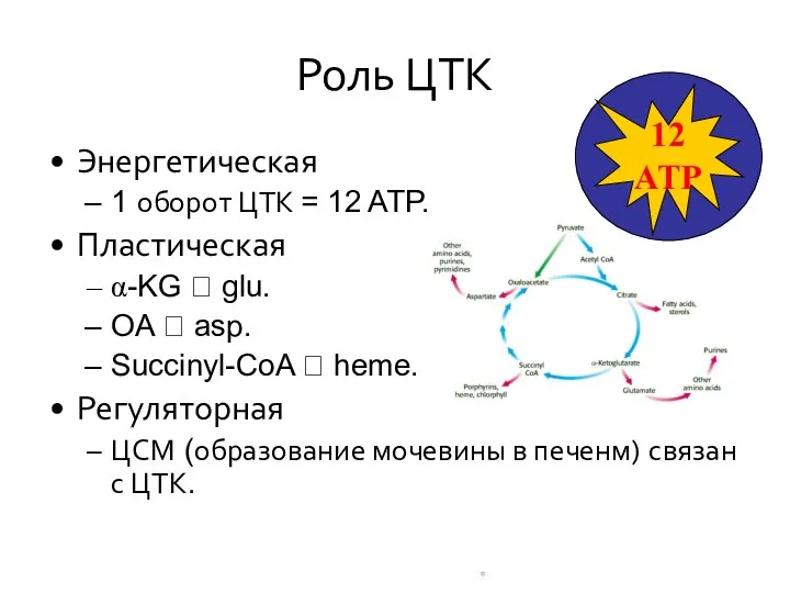 * Роль ЦТК Энергетическая 1 оборот ЦТК = 12 ATP. Пластическая