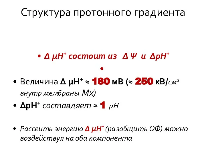 Структура протонного градиента Δ μН+ состоит из Δ Ψ и ΔрН+