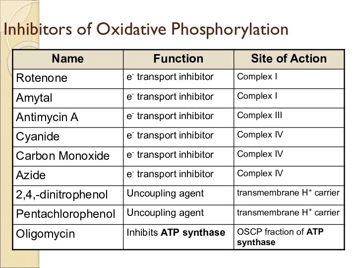 Inhibitors of Oxidative Phosphorylation