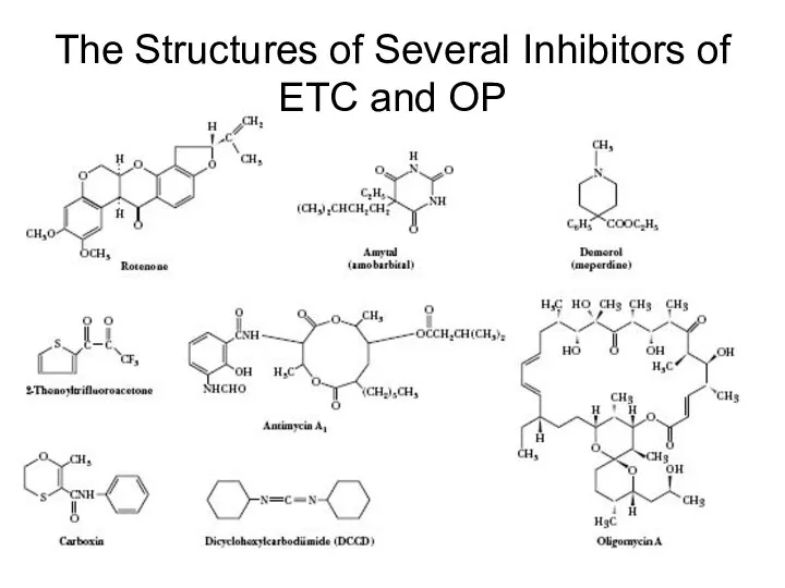 The Structures of Several Inhibitors of ETC and OP