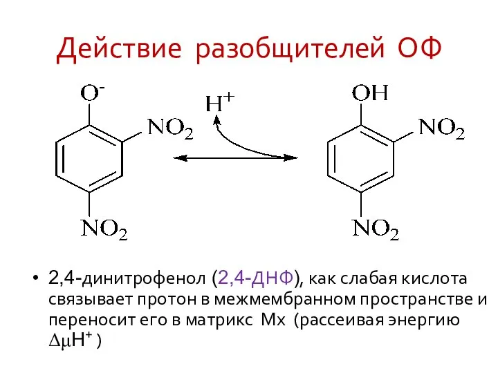 Действие разобщителей ОФ 2,4-динитрофенол (2,4-ДНФ), как слабая кислота связывает протон в