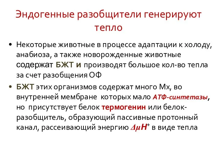 Эндогенные разобщители генерируют тепло Некоторые животные в процессе адаптации к холоду,