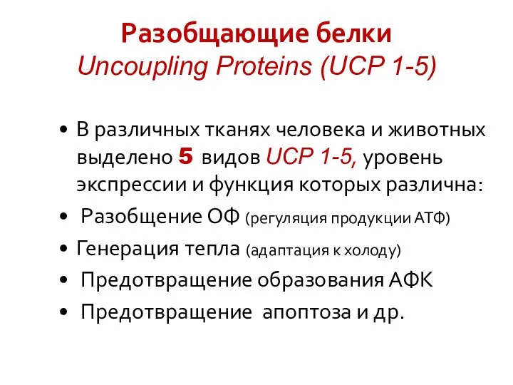 Разобщающие белки Uncoupling Proteins (UCP 1-5) В различных тканях человека и