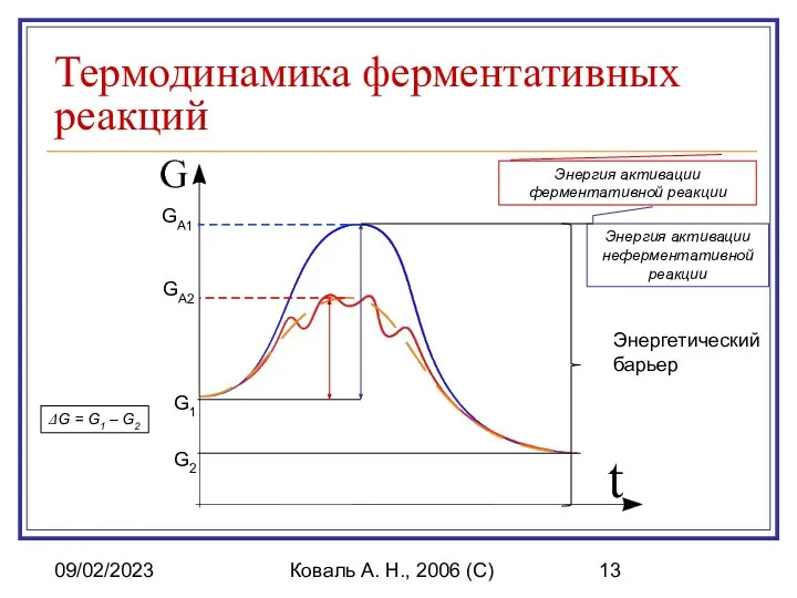 09/02/2023 Коваль А. Н., 2006 (C) Термодинамика ферментативных реакций Энергетический барьер