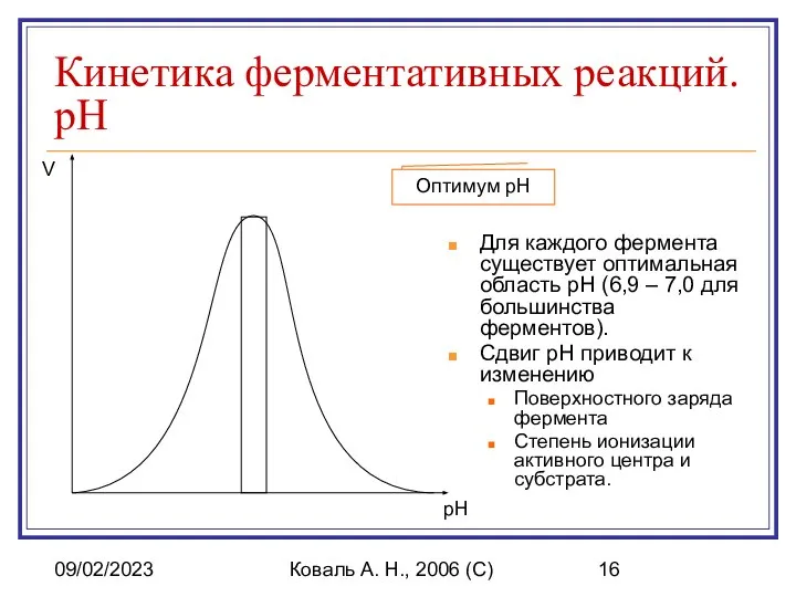 09/02/2023 Коваль А. Н., 2006 (C) Кинетика ферментативных реакций. pH Для