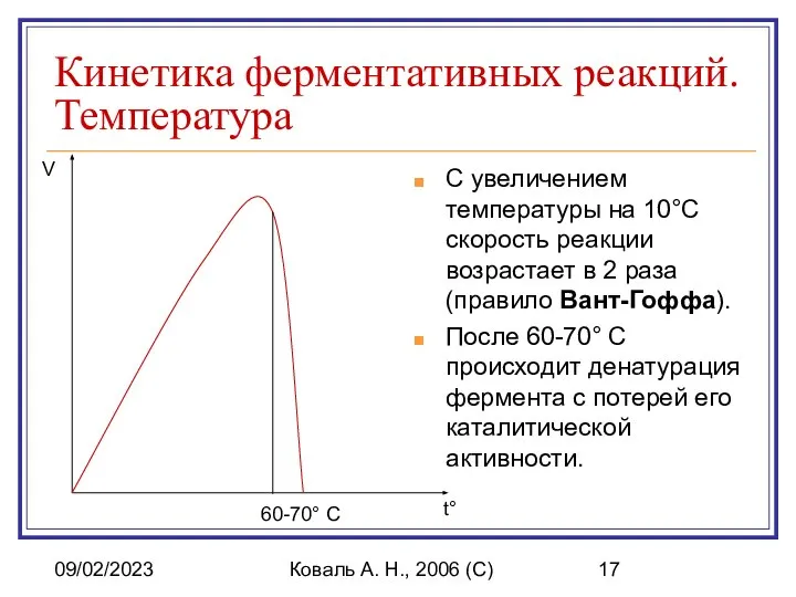 09/02/2023 Коваль А. Н., 2006 (C) Кинетика ферментативных реакций. Температура С