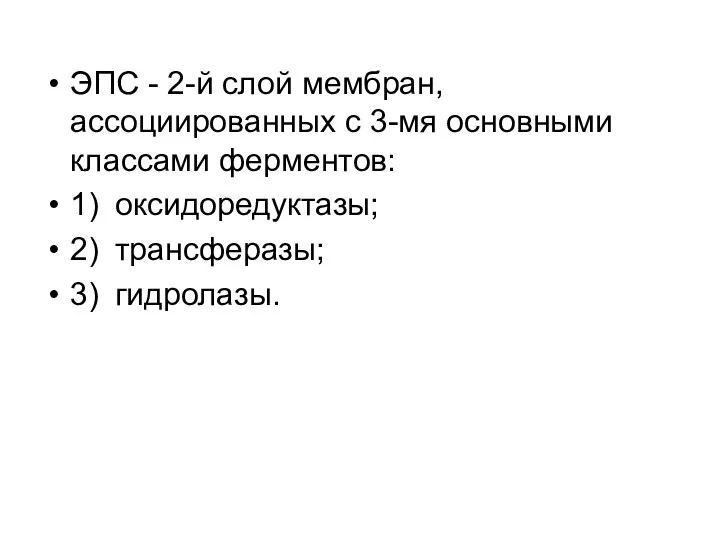 ЭПС - 2-й слой мембран, ассоциированных с 3-мя основными классами ферментов: