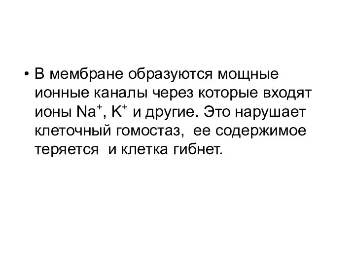 В мембране образуются мощные ионные каналы через которые входят ионы Na+,