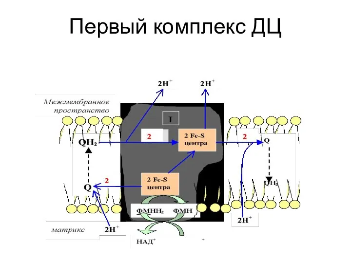 Первый комплекс ДЦ