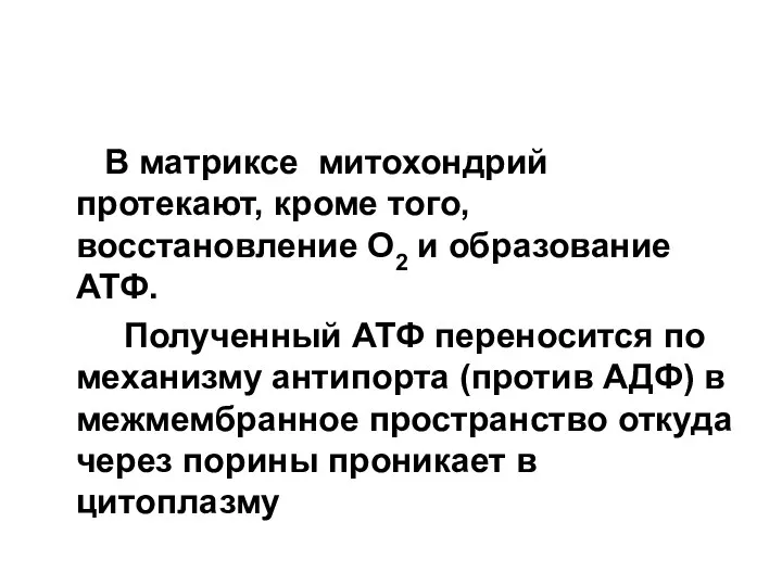 В матриксе митохондрий протекают, кроме того, восстановление O2 и образование АТФ.