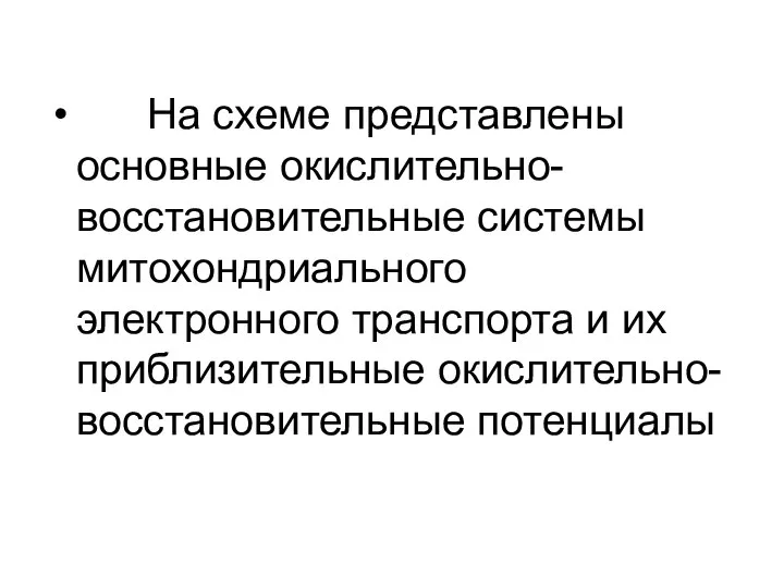 На схеме представлены основные окислительно-восстановительные системы митохондриального электронного транспорта и их приблизительные окислительно-восстановительные потенциалы