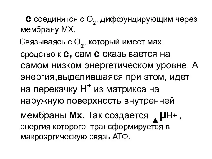 е соединятся с О2, диффундирующим через мембрану МХ. Связываясь с О2,