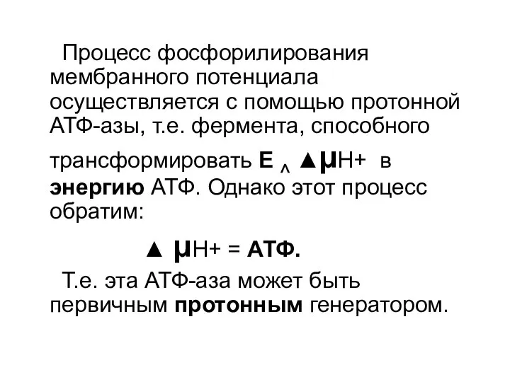 Процесс фосфорилирования мембранного потенциала осуществляется с помощью протонной АТФ-азы, т.е. фермента,