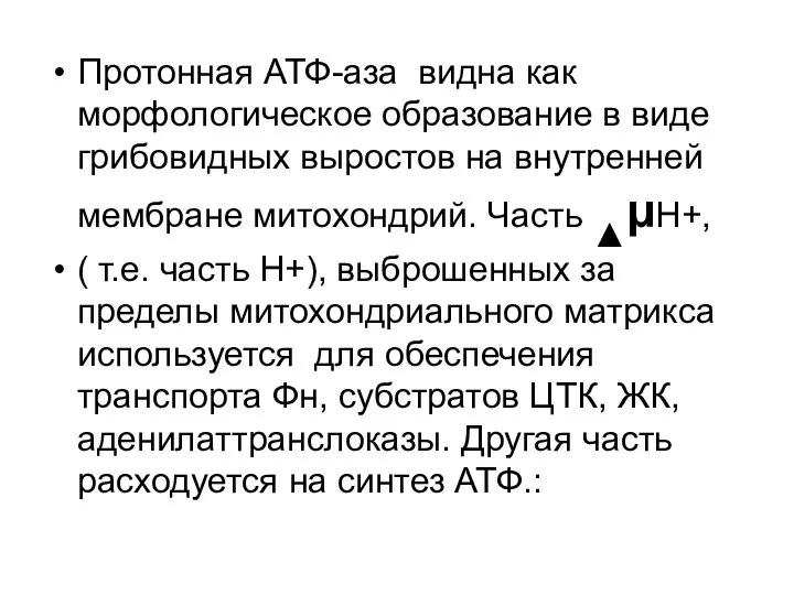 Протонная АТФ-аза видна как морфологическое образование в виде грибовидных выростов на