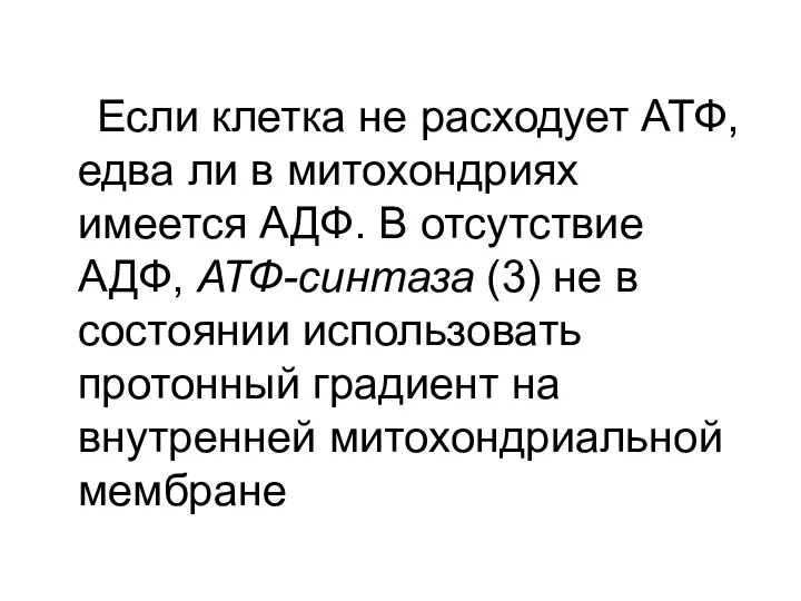 Если клетка не расходует АТФ, едва ли в митохондриях имеется АДФ.