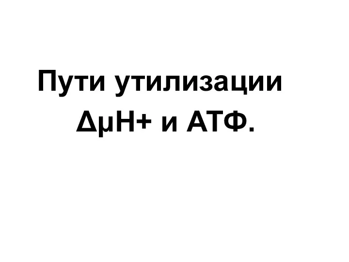 Пути утилизации ΔμН+ и АТФ.