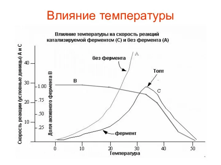 Влияние температуры