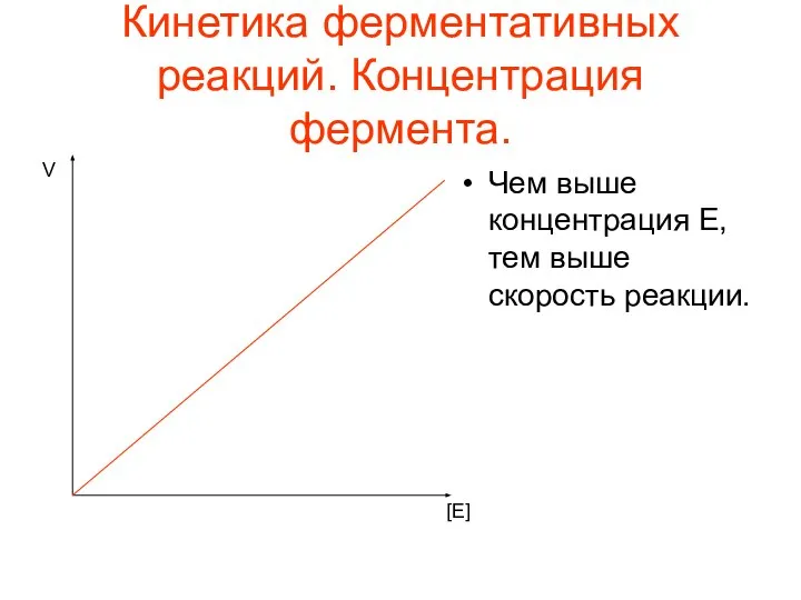 Кинетика ферментативных реакций. Концентрация фермента. Чем выше концентрация E, тем выше скорость реакции. [E] V