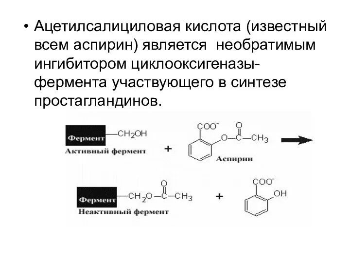 Ацетилсалициловая кислота (известный всем аспирин) является необратимым ингибитором циклооксигеназы- фермента участвующего в синтезе простагландинов.