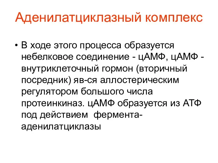 Аденилатциклазный комплекс В ходе этого процесса образуется небелковое соединение - цАМФ,