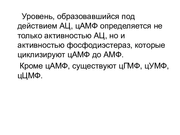 Уровень, образовавшийся под действием АЦ, цАМФ определяется не только активностью АЦ,