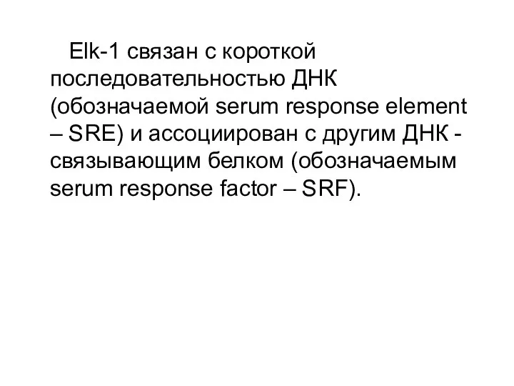 Elk-1 связан с короткой последовательностью ДНК (обозначаемой serum response element –