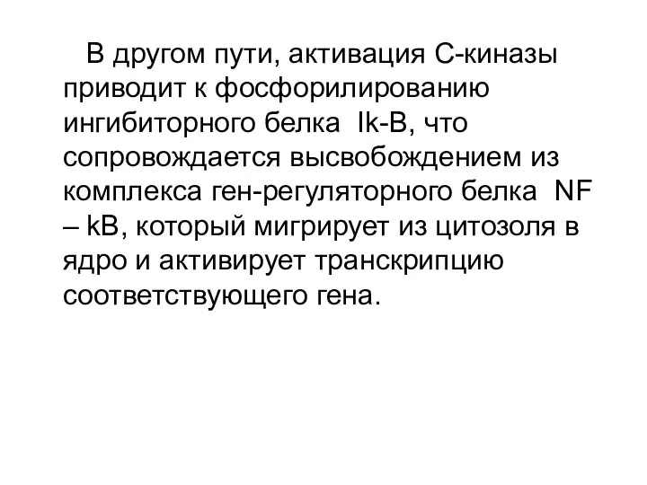 В другом пути, активация С-киназы приводит к фосфорилированию ингибиторного белка Ik-B,