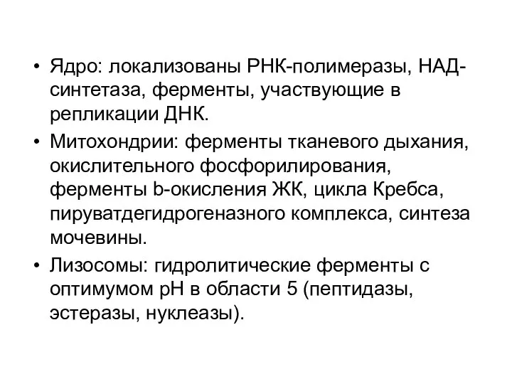 Ядро: локализованы РНК-полимеразы, НАД-синтетаза, ферменты, участвующие в репликации ДНК. Митохондрии: ферменты