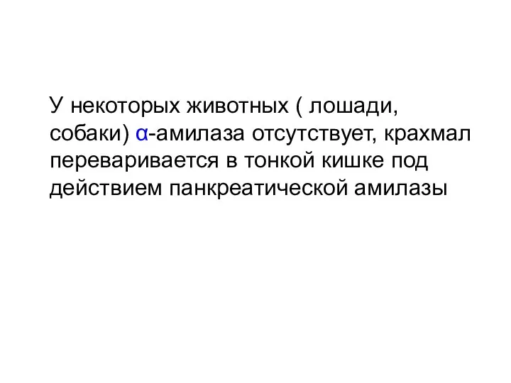 У некоторых животных ( лошади, собаки) α-амилаза отсутствует, крахмал переваривается в